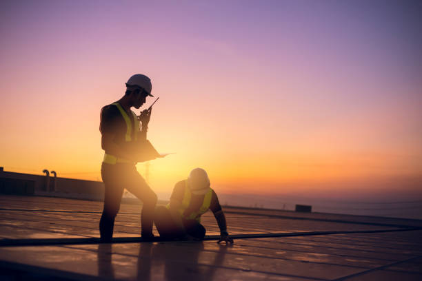 Best Roof Gutter Cleaning  in Guttenberg, IA
